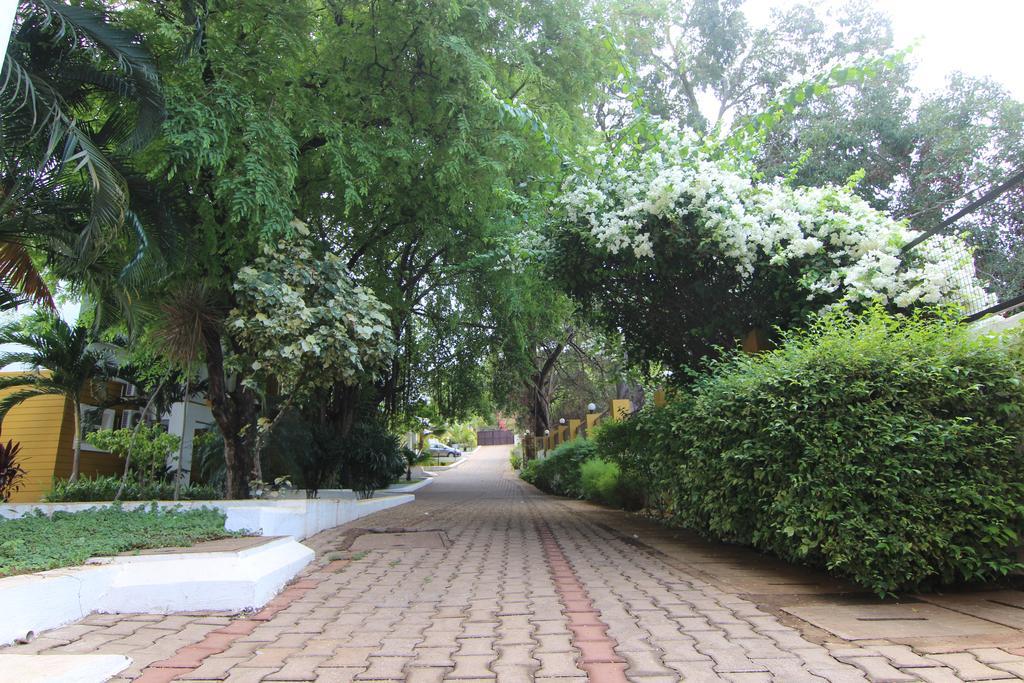 Rainforest - Casa Del Sol, Anjuna - 3 Kms From The Beach Exterior photo